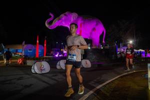 BIB: 
                            <button type="button" onclick="openModal(26552137)" class="btn btn-primary btn-sm float-right btn-popup" data-toggle="modal" data-target=".modal-high-quality">
                        <i class="fas fa-shopping-cart"></i> Add to Cart
                    </button>
                                            <button type="button" onclick="isThisMe(26552137, true)" class="btn btn-success btn-sm float-right btn-popup btn-isme hidden" data-toggle="tooltip" data-placement="bottom" title="นี่คือรูปของคุณใช่ไหม คลิกที่นี่เพื่อเอาเข้าอัลบั้ม">
                        <i class="fas fa-plus"></i> Add to album
                    </button>
                    <button type="button" onclick="isThisMe(26552137, false)" class="btn btn-warning btn-sm float-right btn-popup btn-isnotme hidden">
                        <i class="fas fa-ban"></i> Remove from album
                    </button>